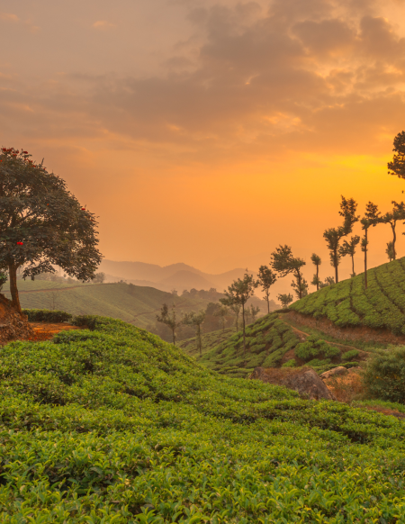 INDIA del SUD e KERALA